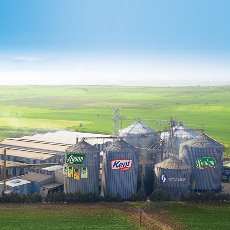 Aysan hakkında görseli