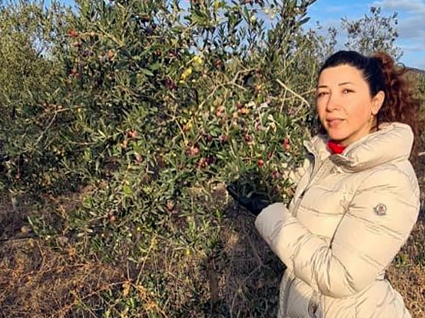 Birsen Hanım Arbequina hakkında görseli