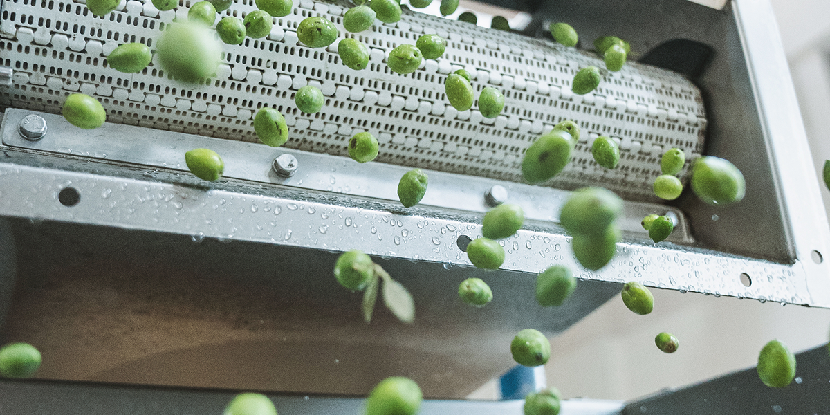 Buta Assos hakkında görseli