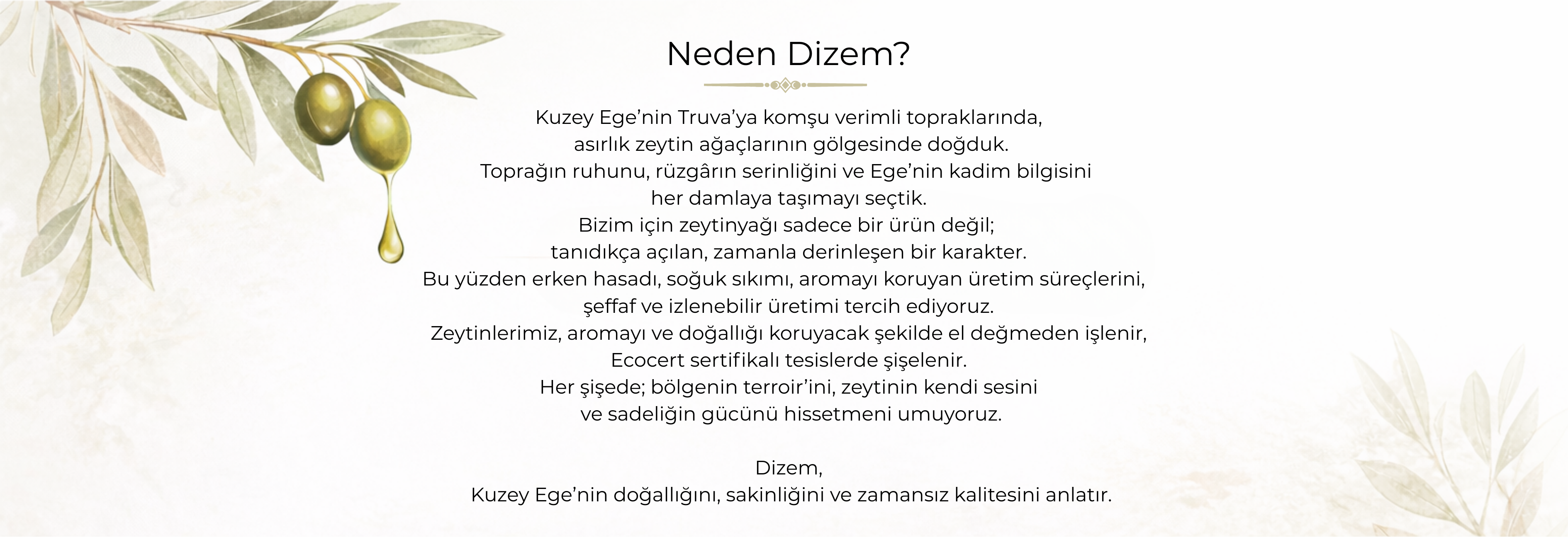 Dizem Organik hakkında görseli