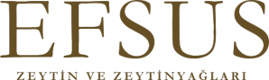 EFSUS logosu