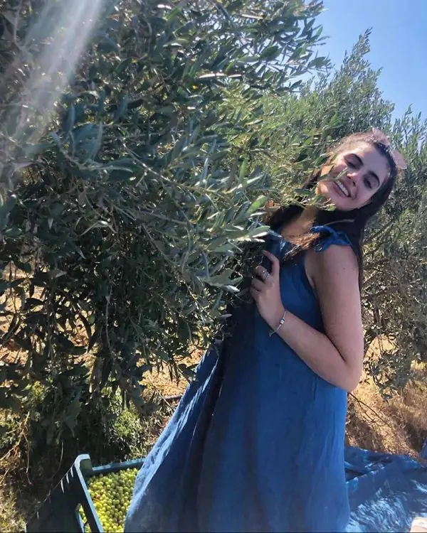 Egeo Norte hakkında görseli