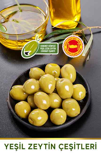 Erkan Aykan hakkında görseli