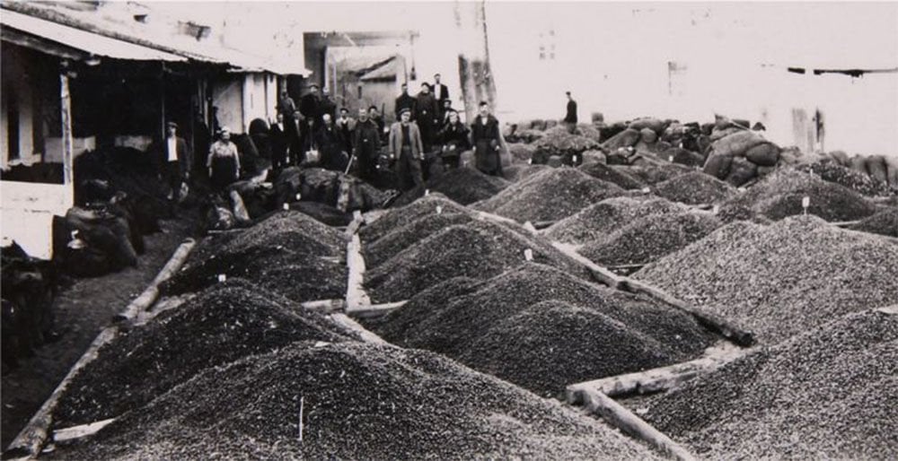 Evliyazade hakkında görseli