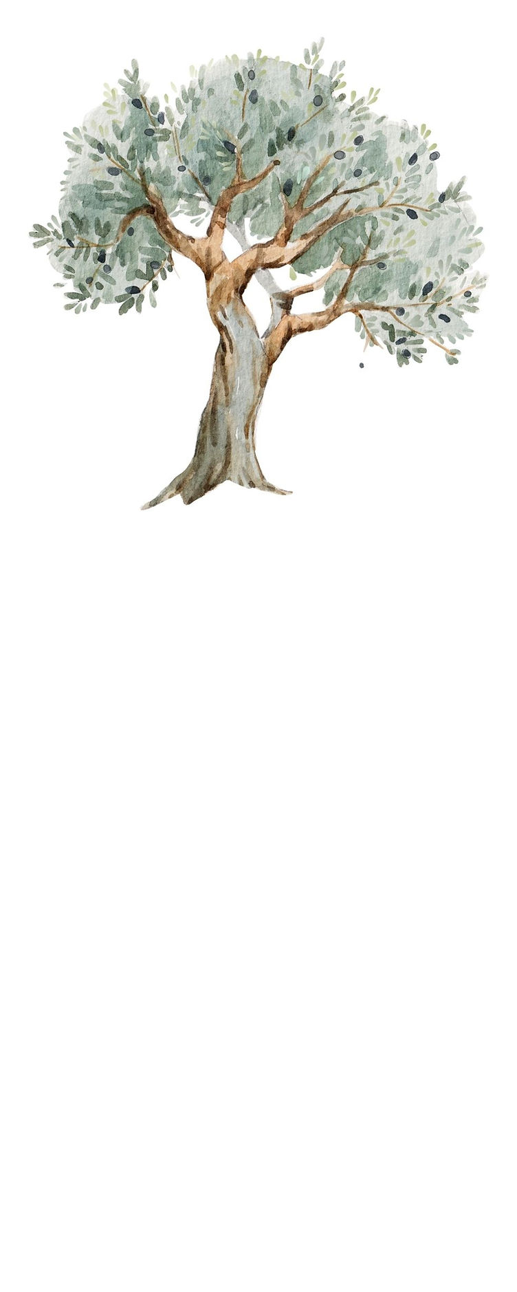 Fethi Çelik hakkında görseli