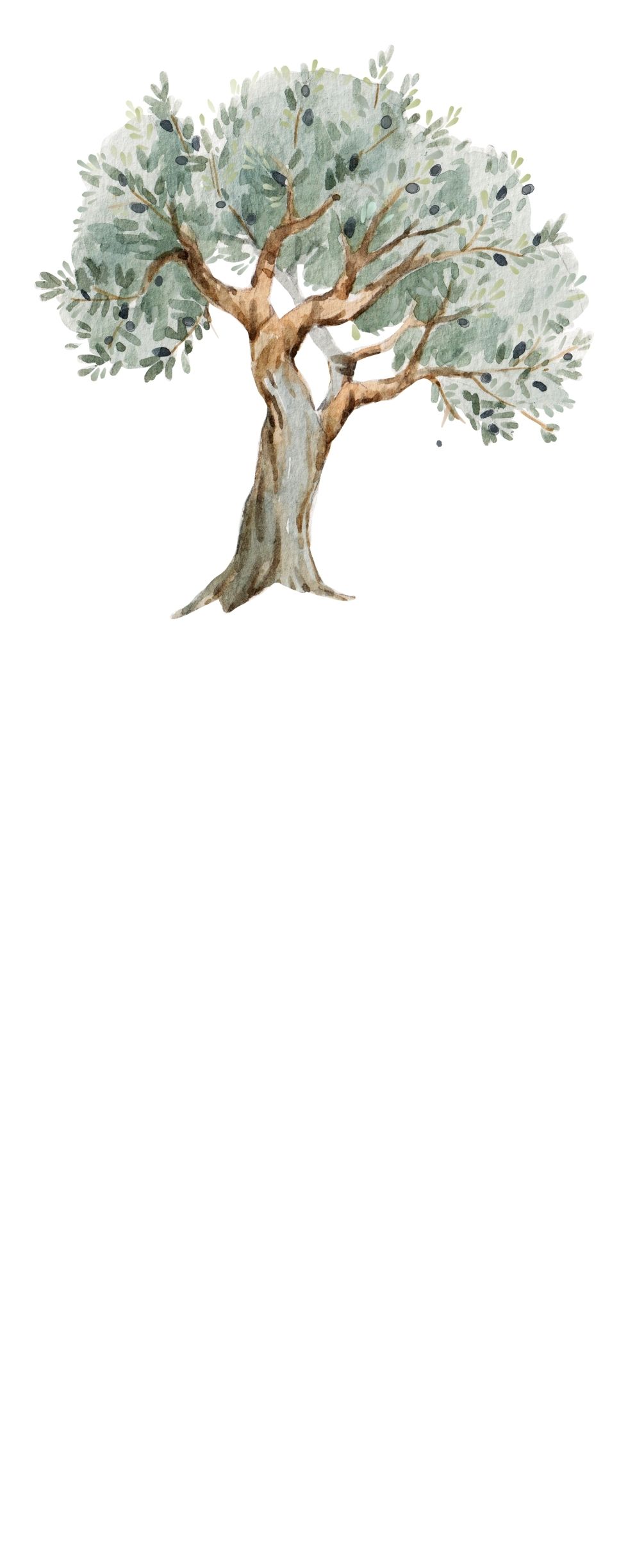 Fethi Çelik şişe görseli 3