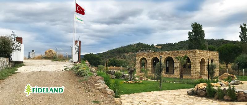 FİDELAND hakkında görseli