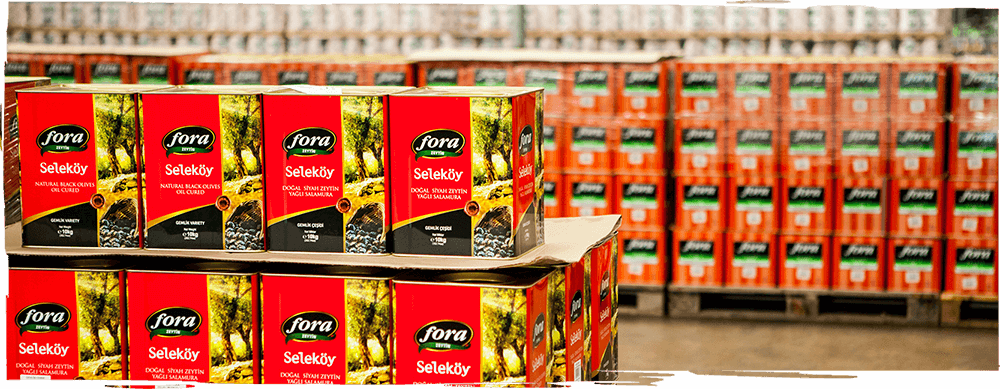 Fora hakkında görseli