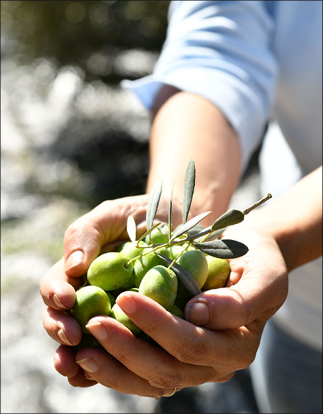 Gaia Oliva hakkında görseli