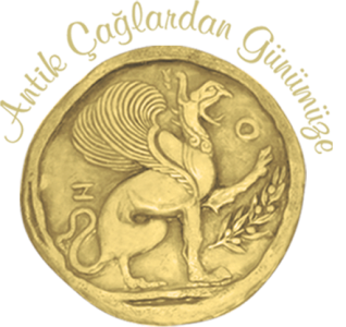 Gödence şişe görseli 1