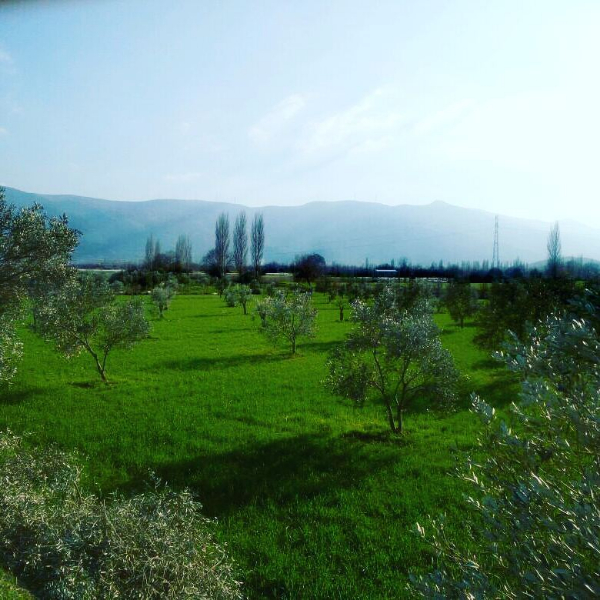 İzmir Birlik şişe görseli 1