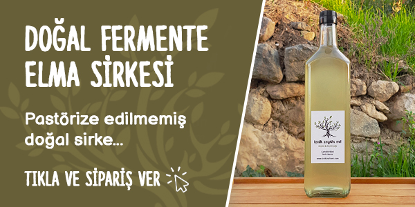 İznik Zeytin Evi şişe görseli 1