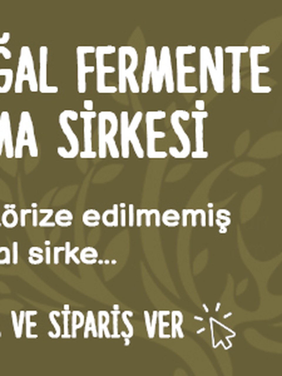 İznik Zeytin Evi şişe görseli 2