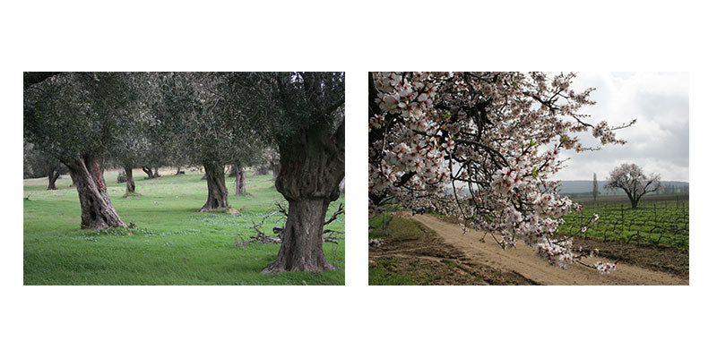 Kilye hakkında görseli