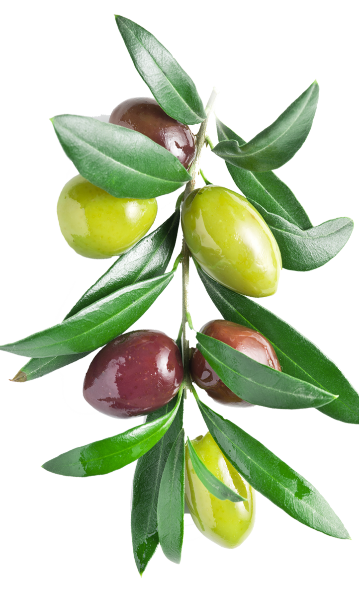 Küçükbahçe hakkında görseli