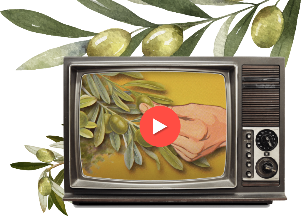 Madra hakkında görseli