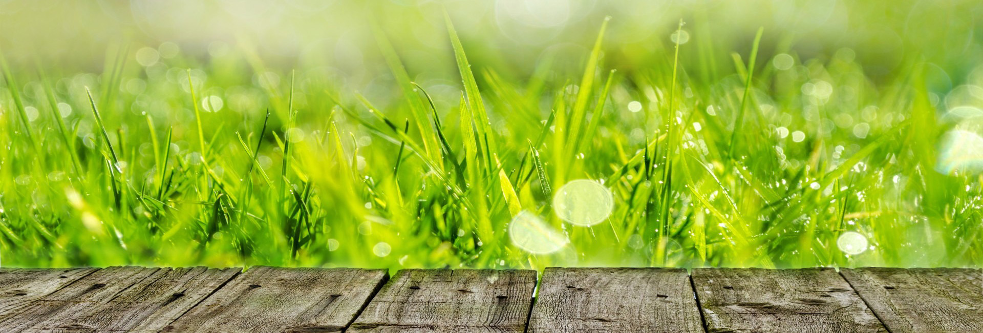 Murat Zeytinyağı şişe görseli 1