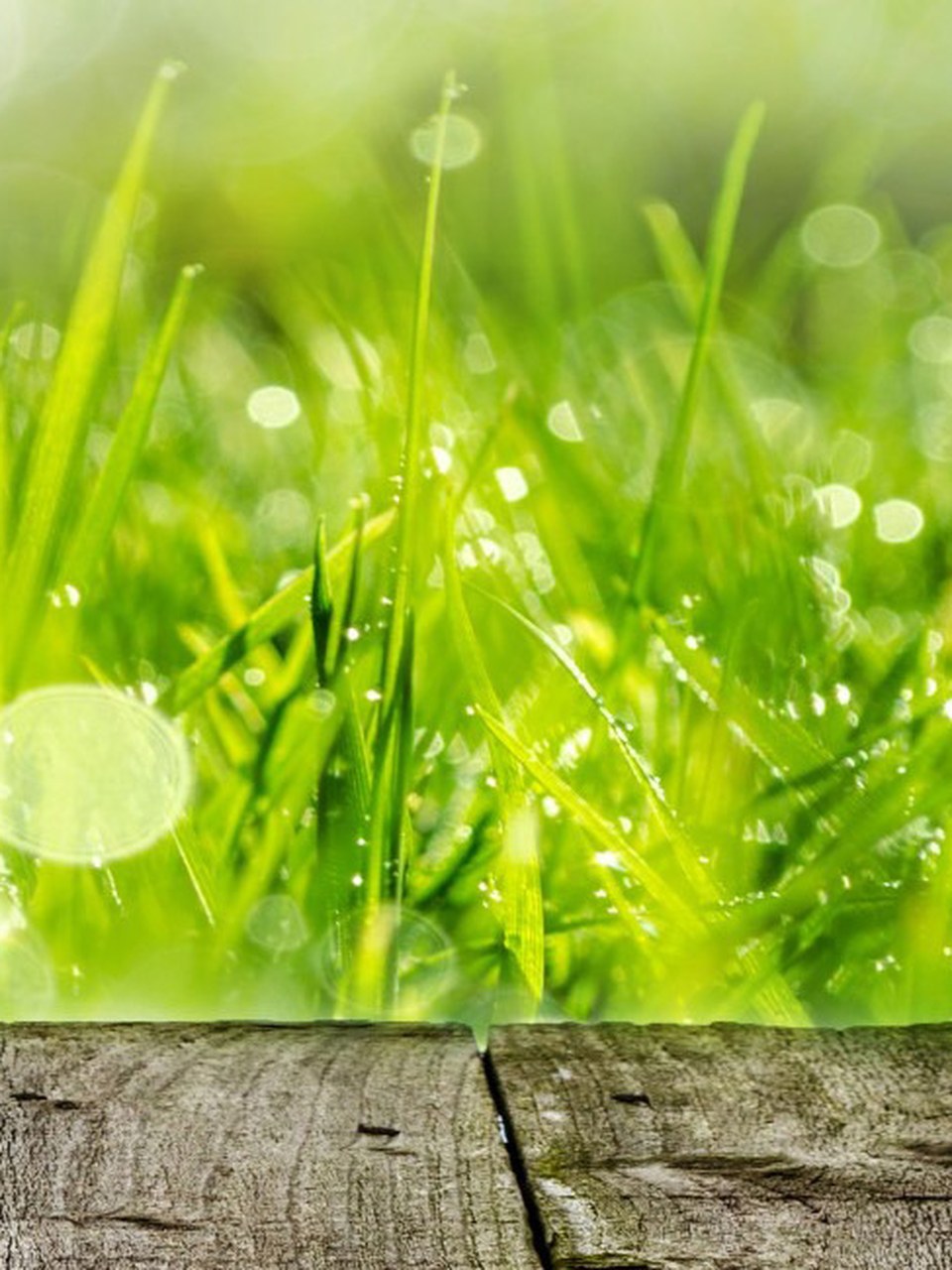 Murat Zeytinyağı şişe görseli 2