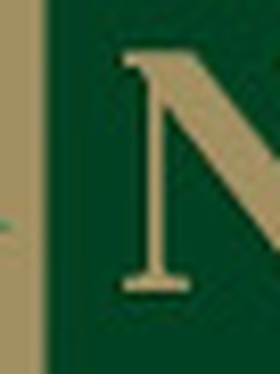 Naturale şişe görseli 2