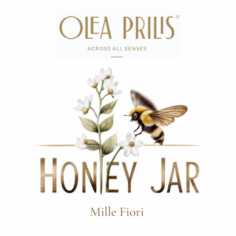 Olea Prilis hakkında görseli