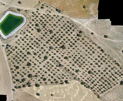 OLIVNER hakkında görseli