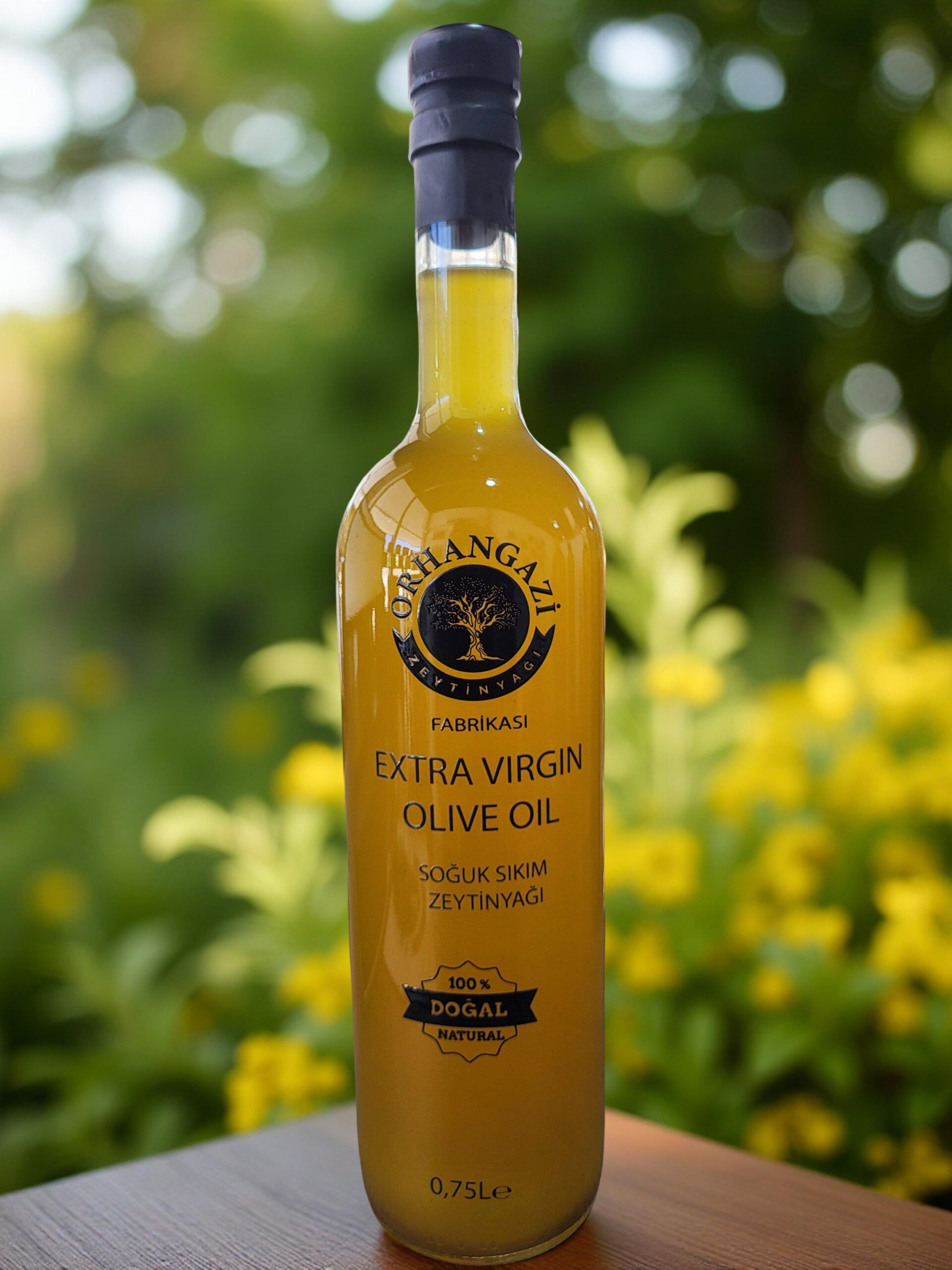 Orhangazi Zeytincilik hakkında görseli