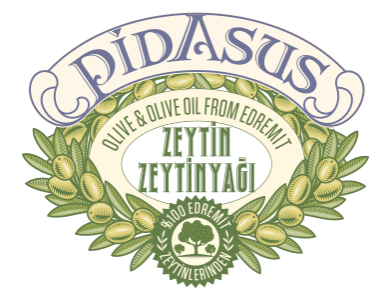 Pidasus logosu
