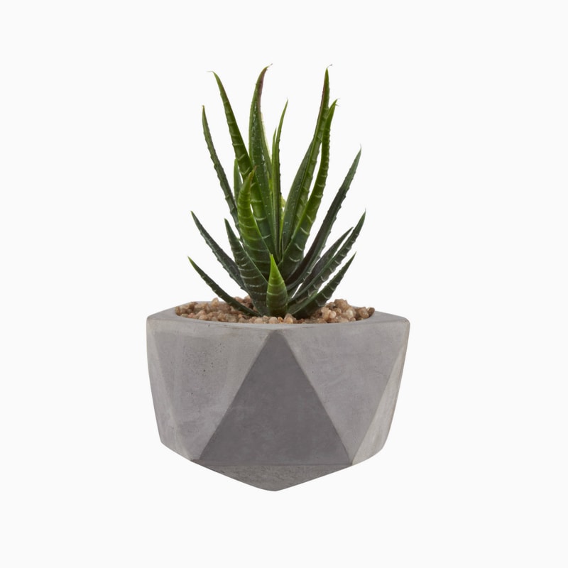 Plantgarde şişe görseli 1