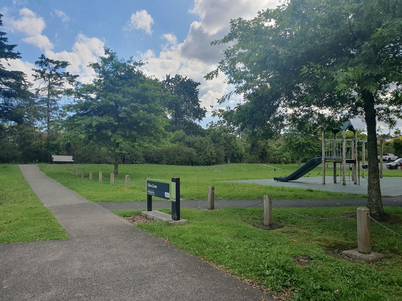 Seferihisar çevresinde zeytin ağaçları ve doğal görünüm