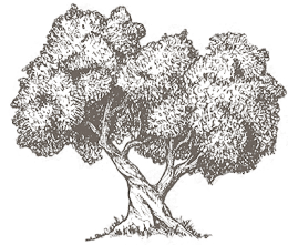 Sokol hakkında görseli