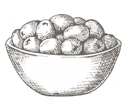 Sokol hakkında görseli