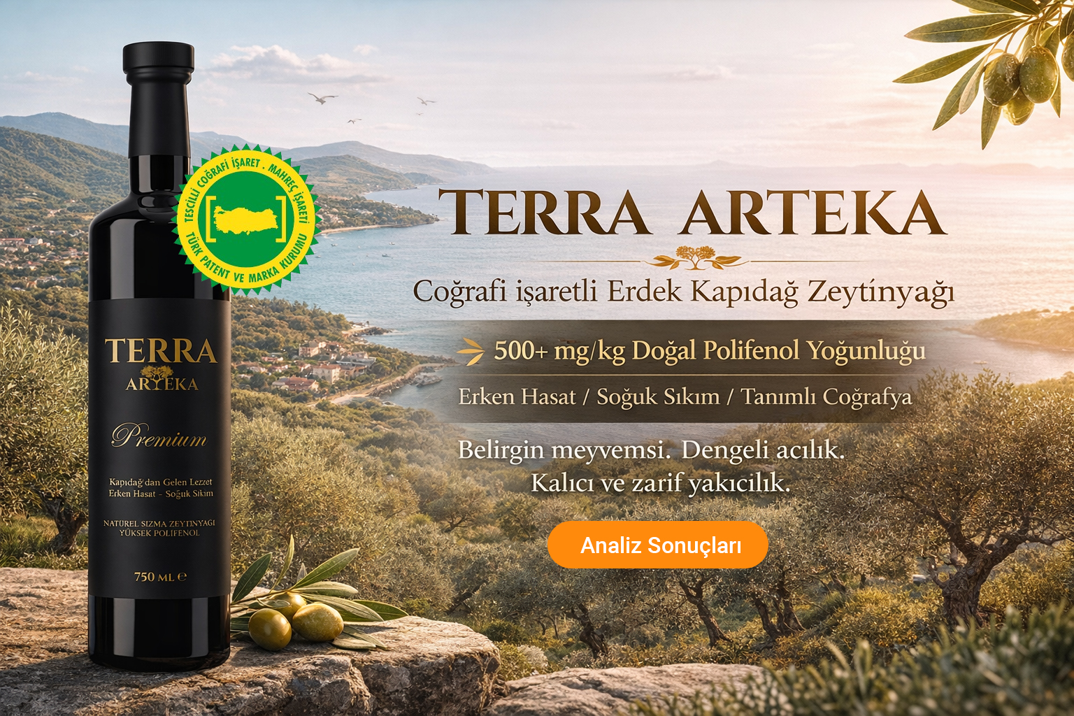 Terra Arteka hakkında görseli