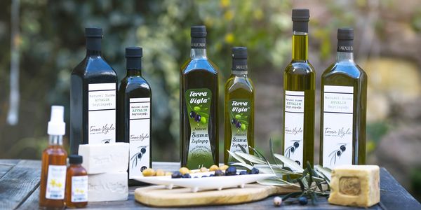 Terra Vigla hakkında görseli