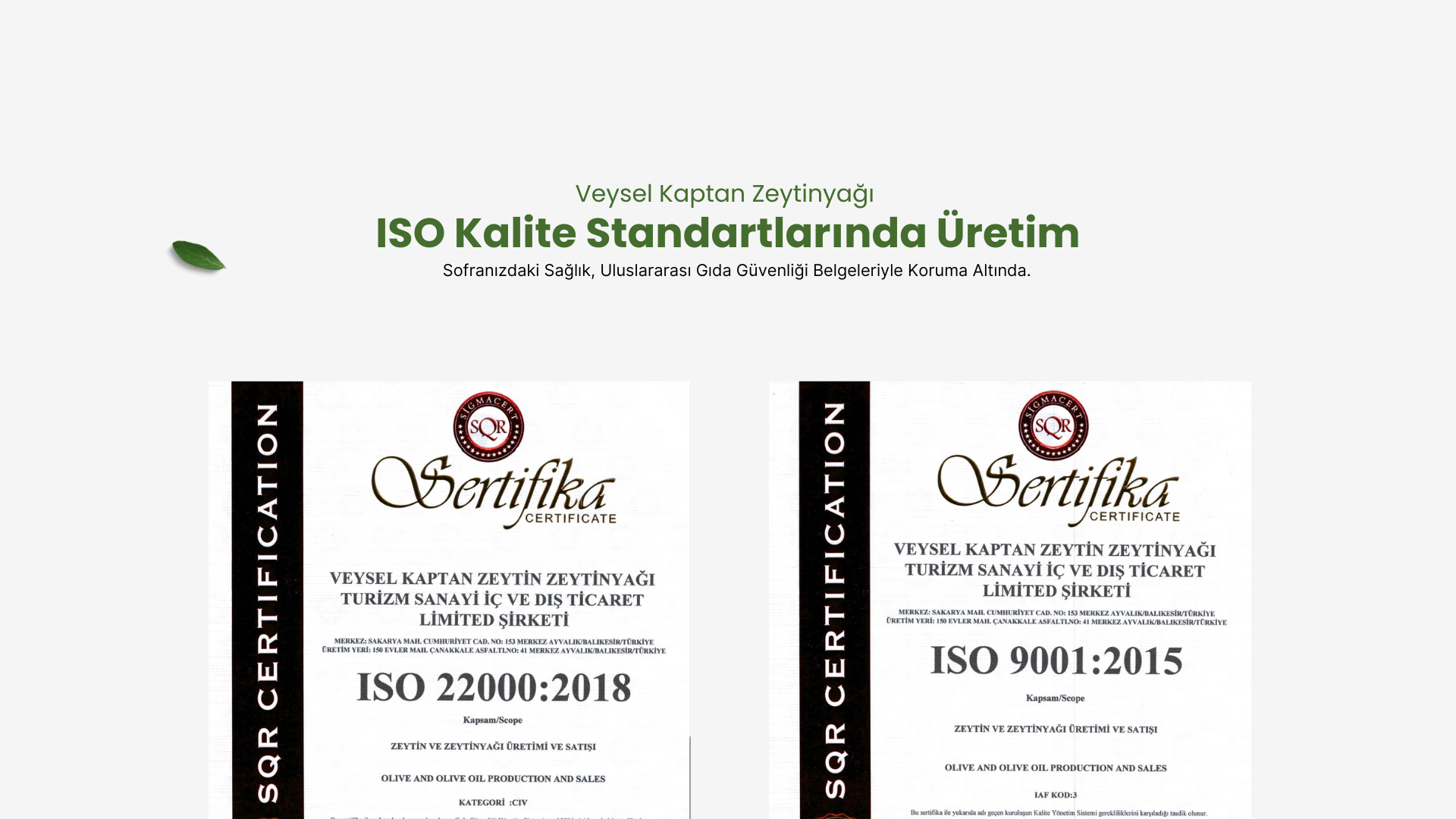 Veysel Kaptan hakkında görseli