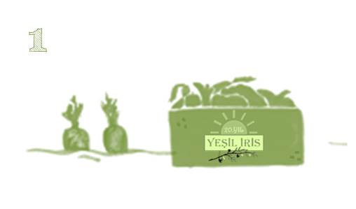 Yeşil İris şişe görseli 1