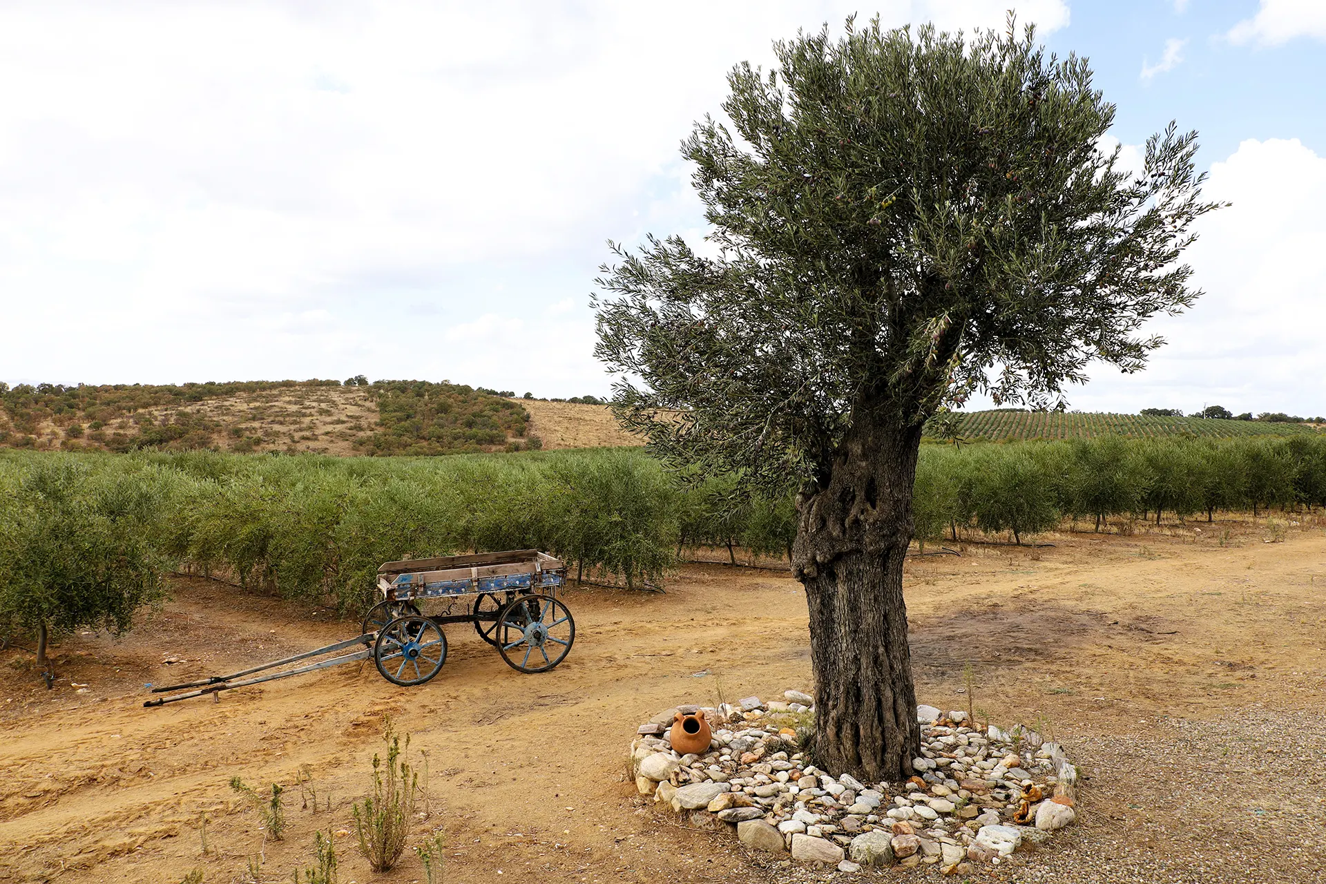Zagoda Trilye hakkında görseli