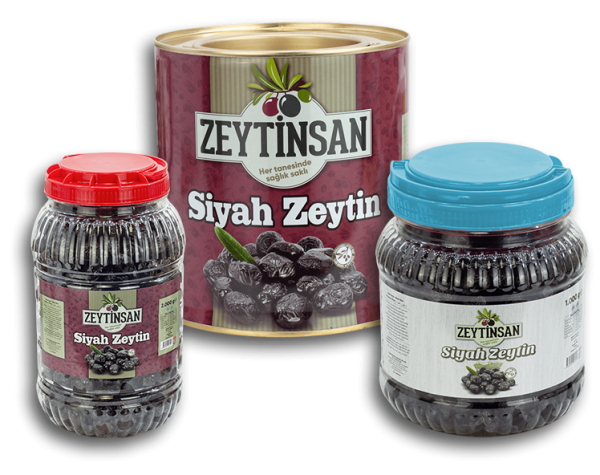 Zeytinsan şişe görseli 2