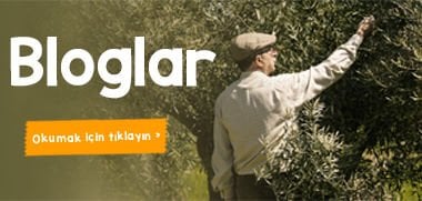 Zeytinyağı Evi hakkında görseli