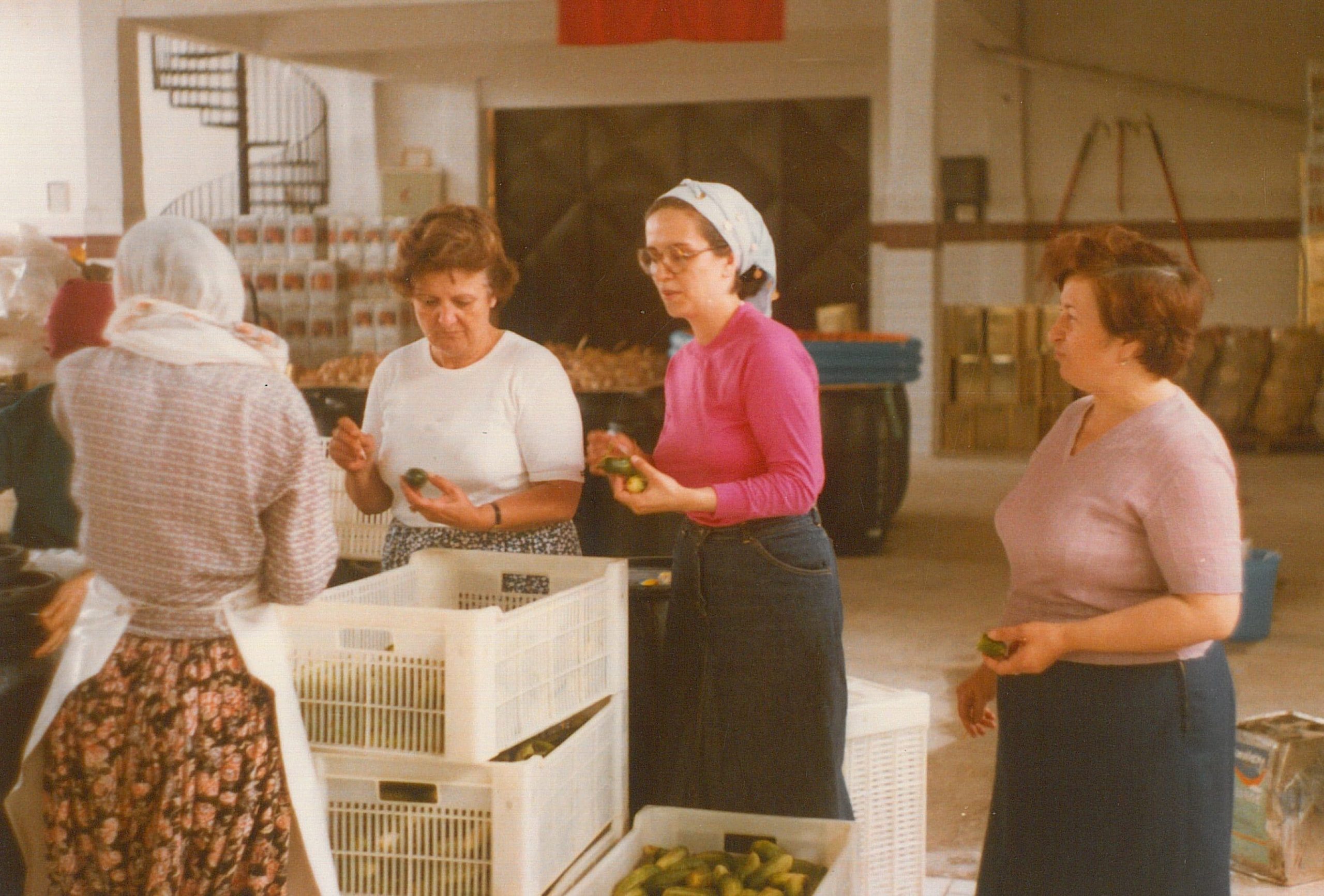 Zeytursan hakkında görseli