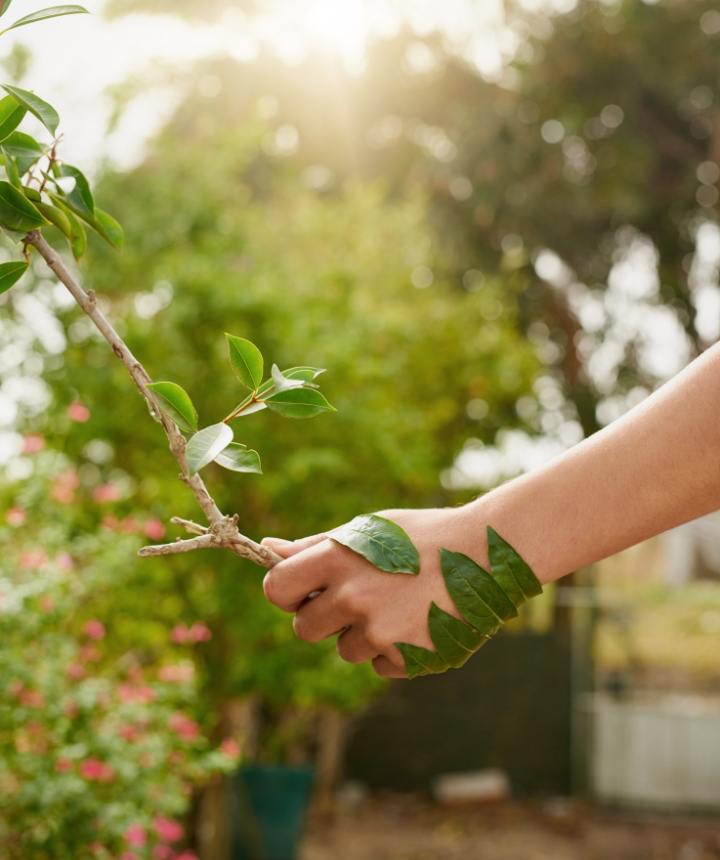 Zeytursan hakkında görseli
